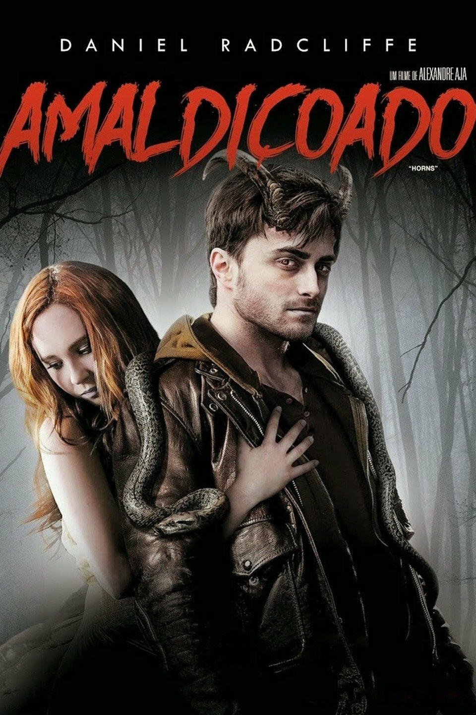 Poster Filme
