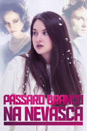 Poster Filme