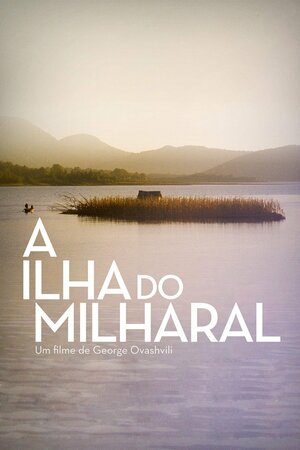 Poster Filme