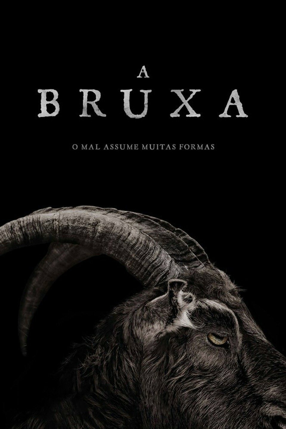 Poster Filme