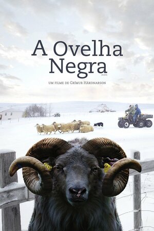 Poster Filme