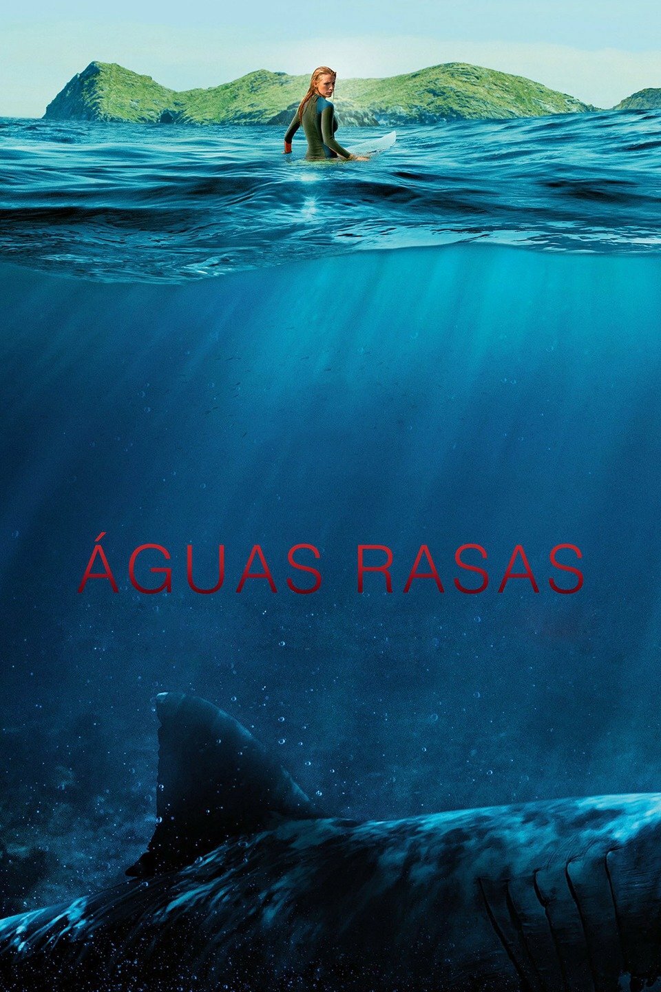 Poster Filme