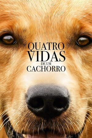 Poster Filme
