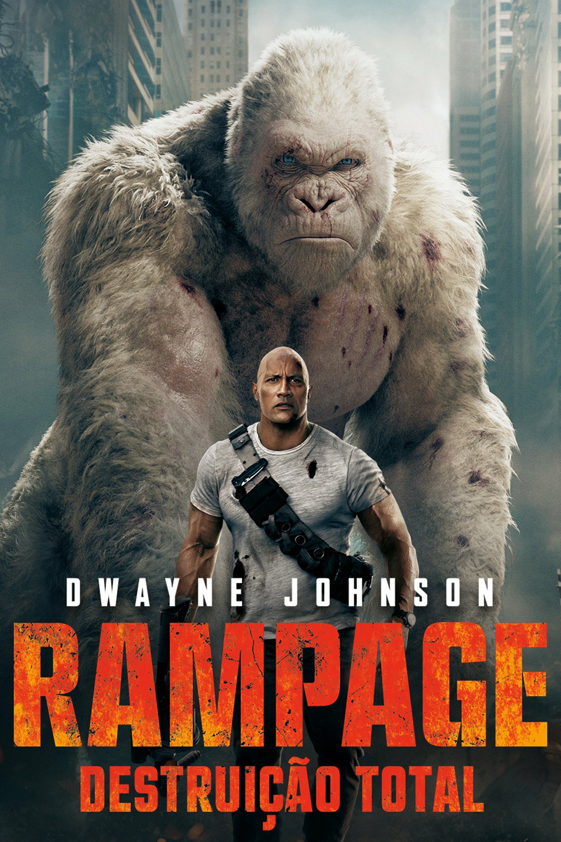 Poster Filme