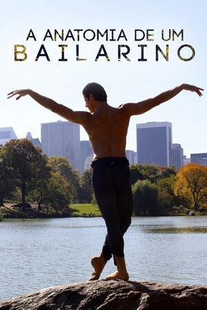 Poster Filme