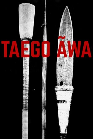 Poster Filme