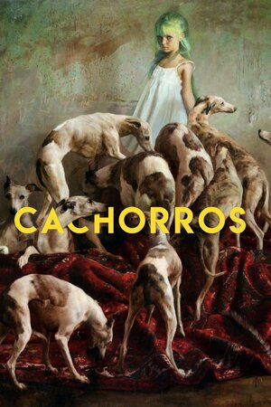 Poster Filme