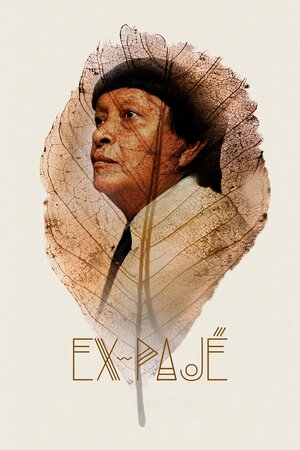 Poster Filme