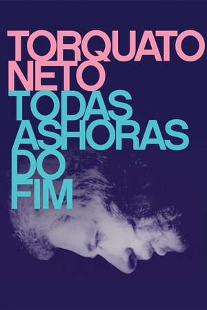 Poster Filme
