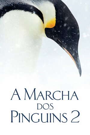 Poster Filme