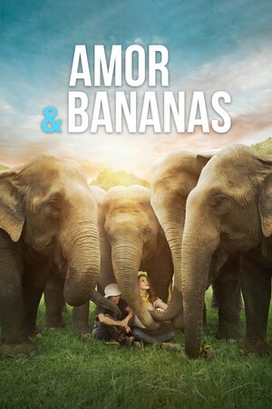 Poster Filme