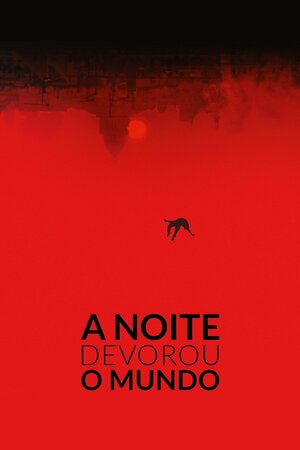 Poster Filme