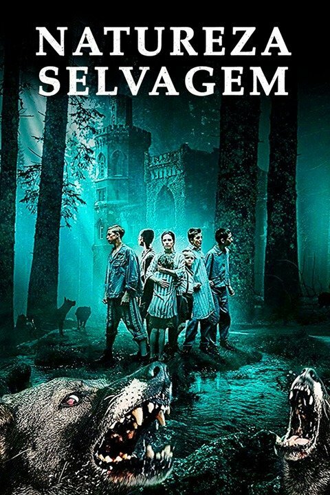 Poster Filme