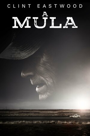 Poster Filme