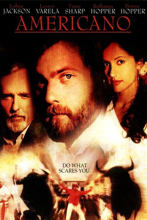 Poster Filme