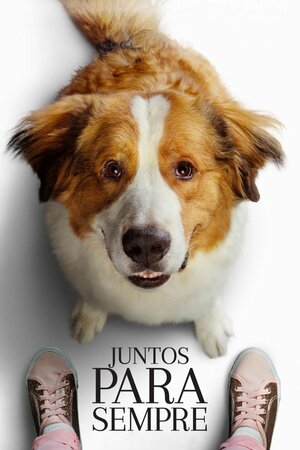 Poster Filme
