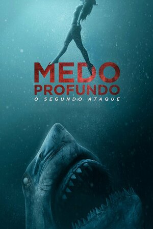 Poster Filme