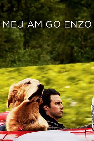 Poster Filme