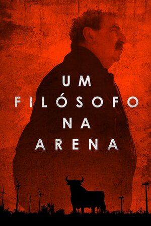 Poster Filme