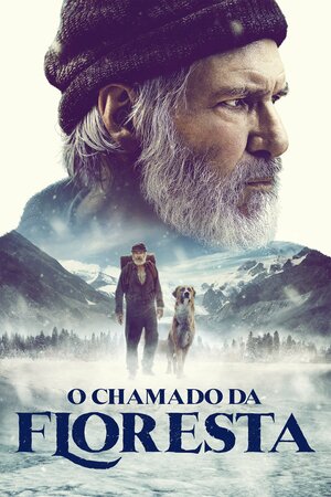 Poster Filme