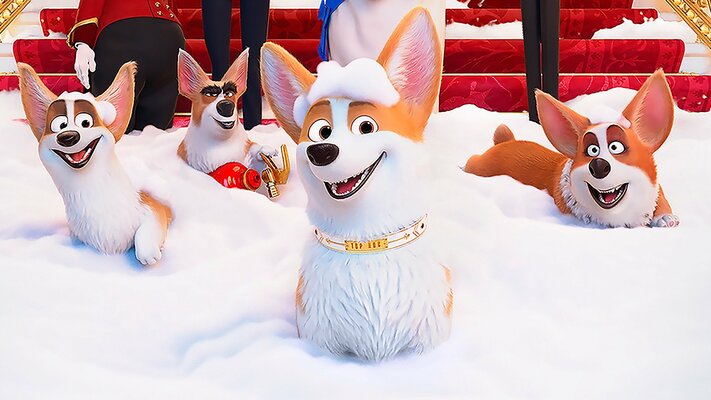 Corgi: Top Dog