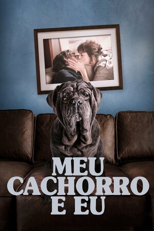 Poster Filme