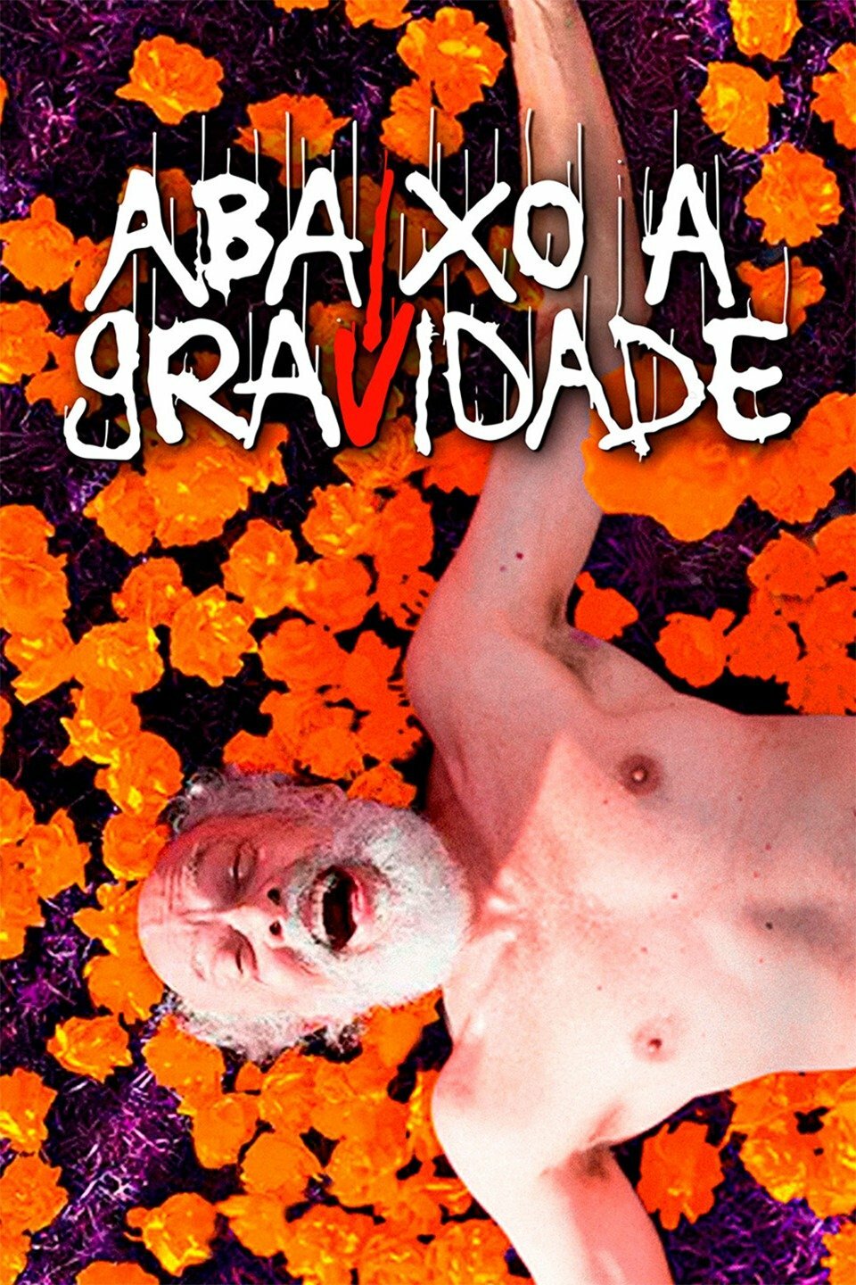 Poster Filme