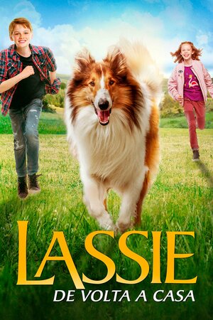Poster Filme