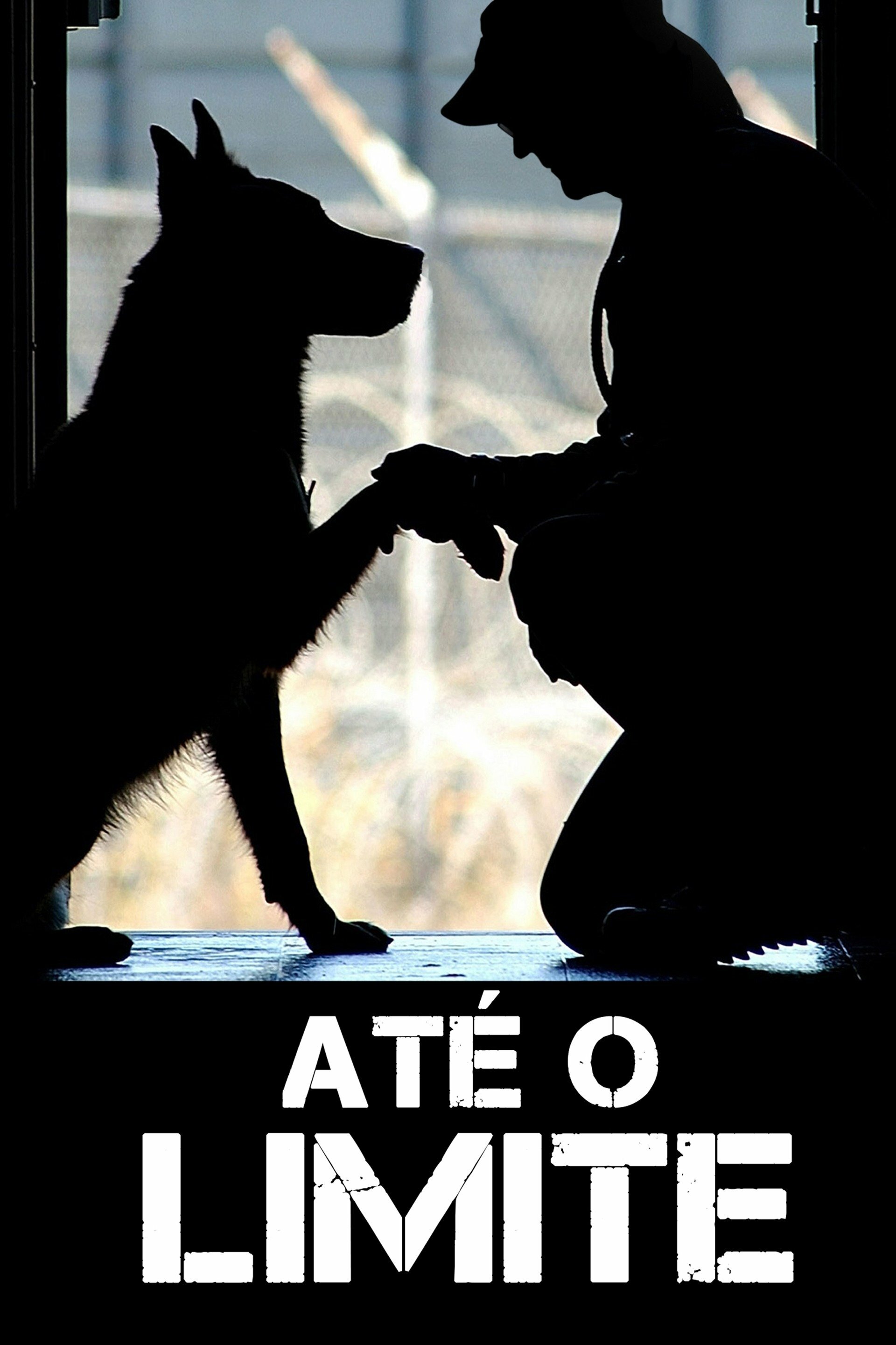 Poster Filme