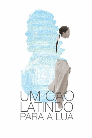 Poster Filme