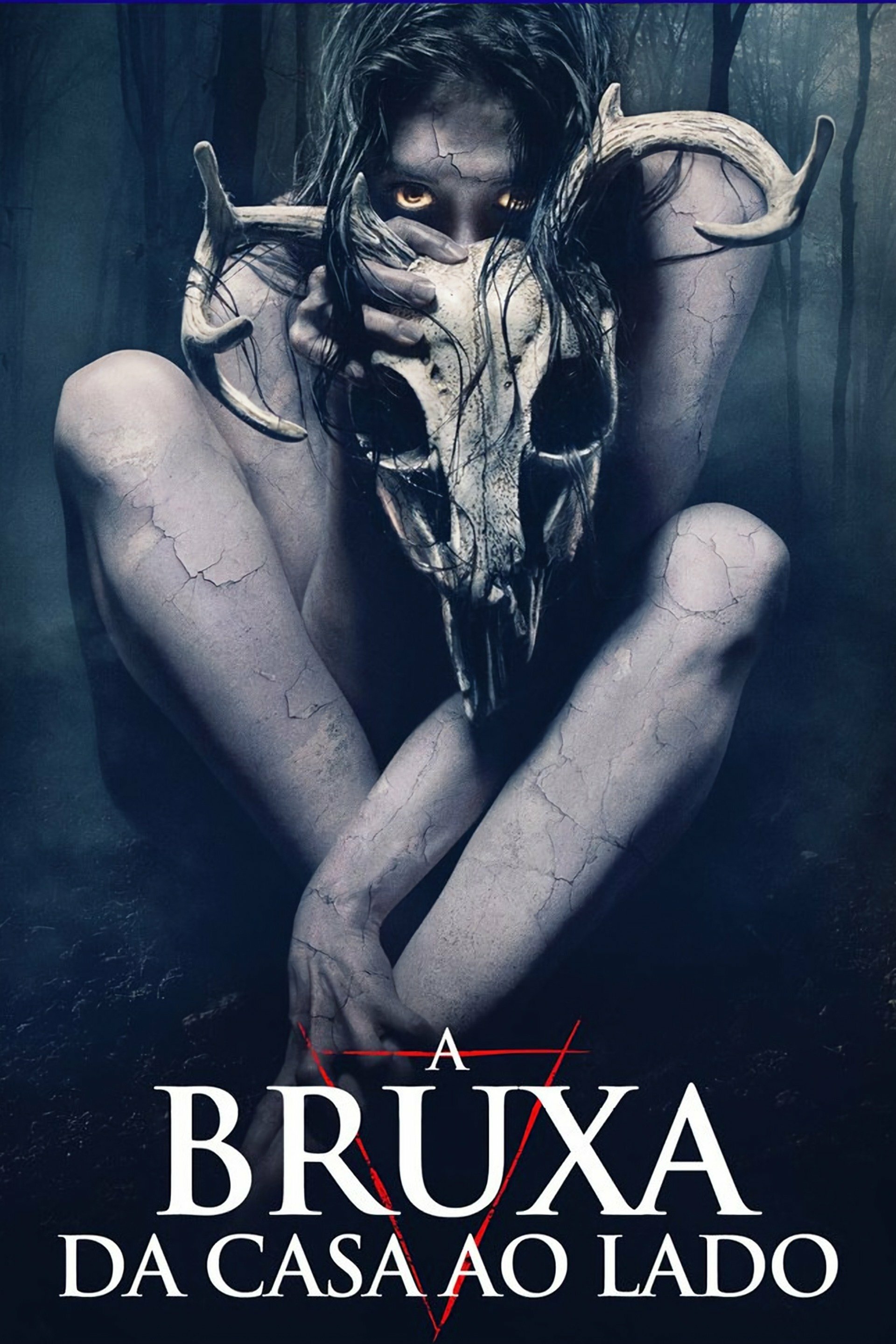 Poster Filme