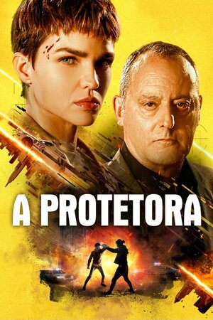 Poster Filme