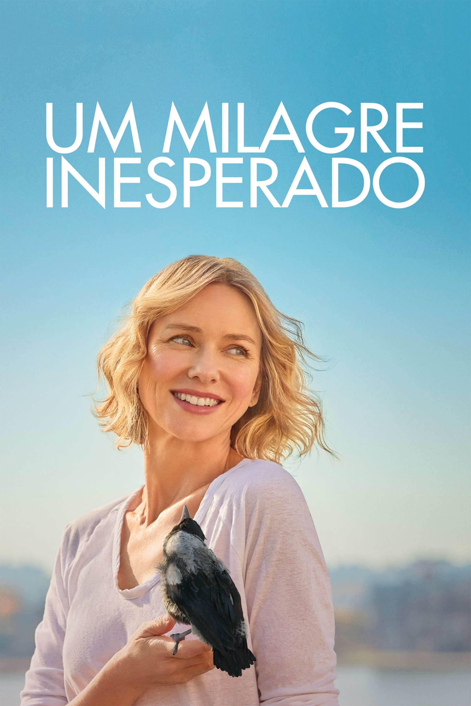 Poster Filme