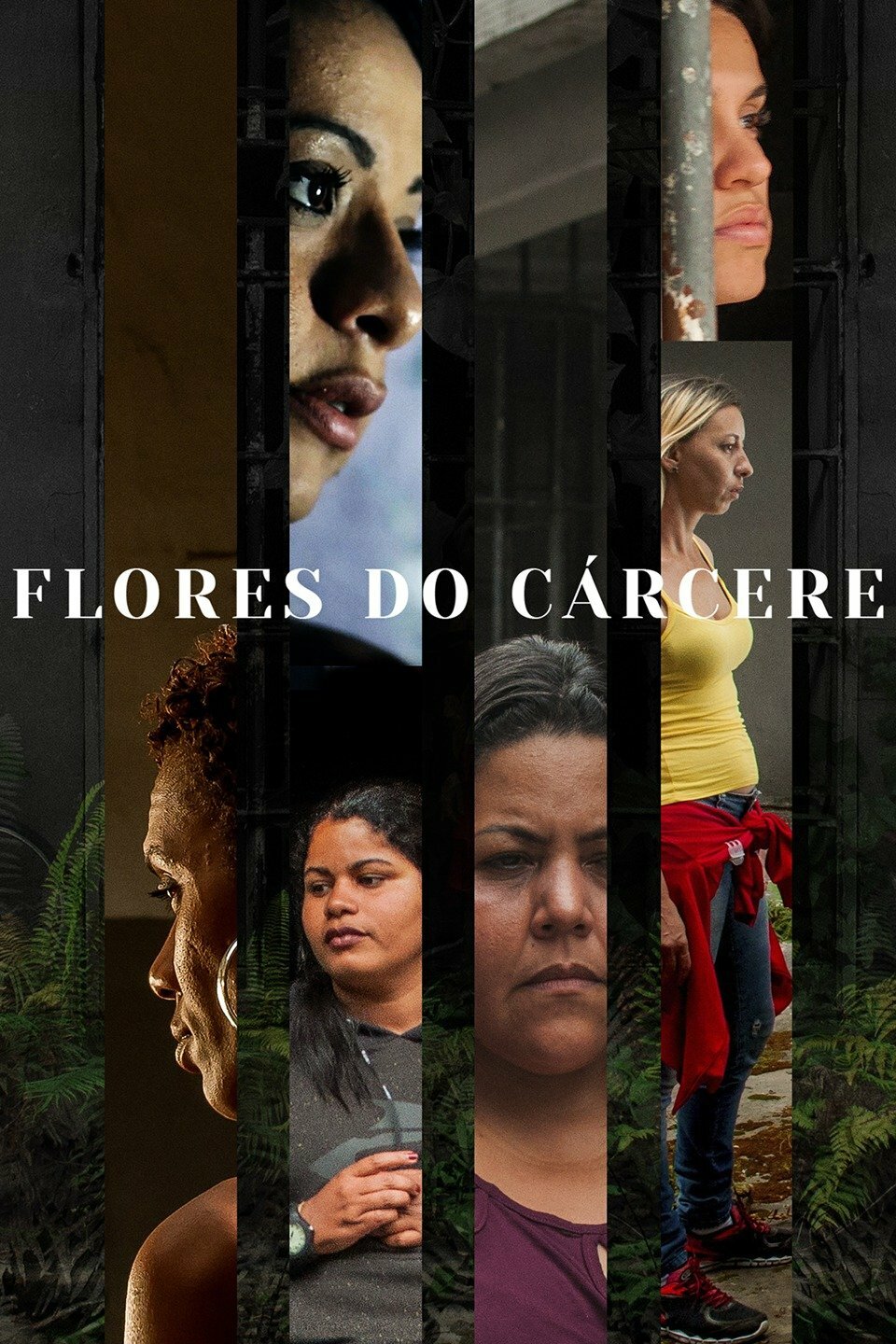 Poster Filme