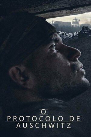 Poster Filme