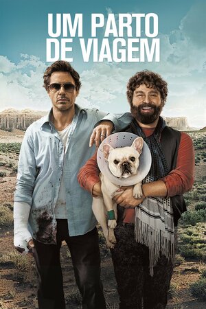 Poster Filme