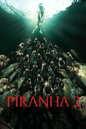 Poster Filme