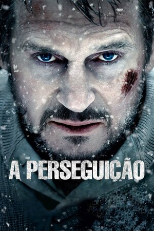 Poster Filme