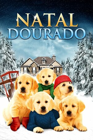 Poster Filme