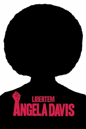 Poster Filme